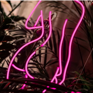 Moters kūnas neonpulse
